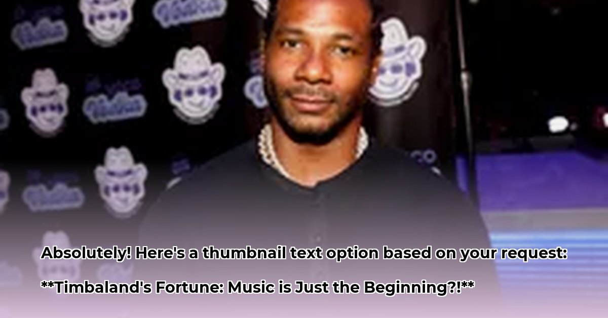 producer-timbaland-net-worth